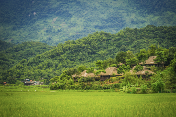 Mai Chau